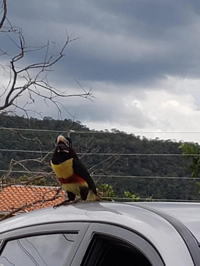 Pousada Canto Dos Passaros Pirenópolis Exterior foto